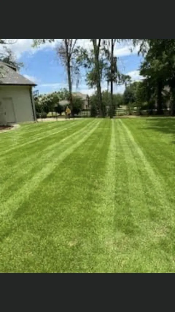 Affordable garden landscaping in Montgomery, AL - Alex Lawncare & Landscaping