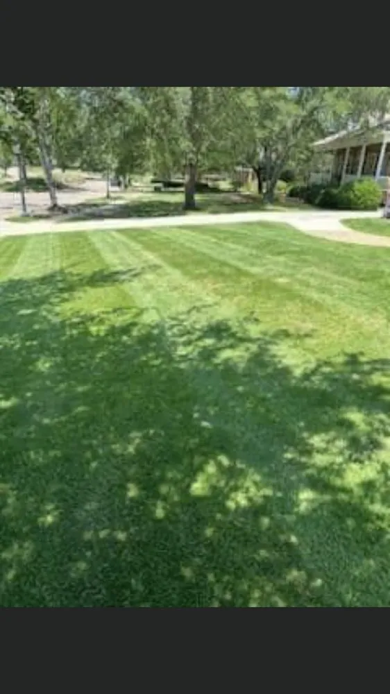 Professional landscaping services for beautiful yards across Montgomery, AL - Alex Lawncare & Landscaping