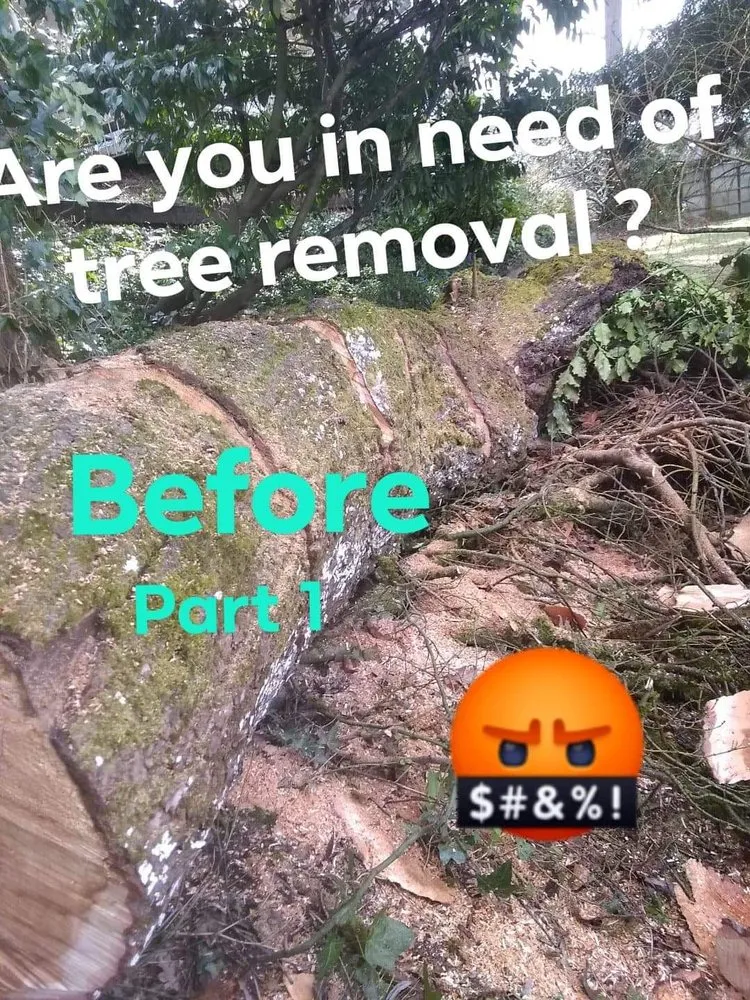 Expert landscaping services for residential properties in Aberdeen, WA by Alex Love's 2 Landscape