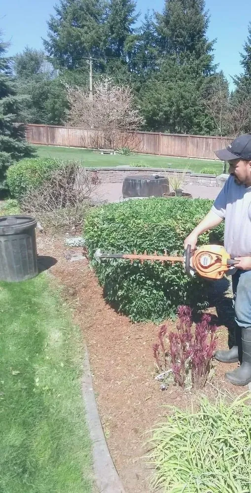Expert landscaping services for beautiful yards in Aberdeen, WA by Alex Love's 2 Landscape