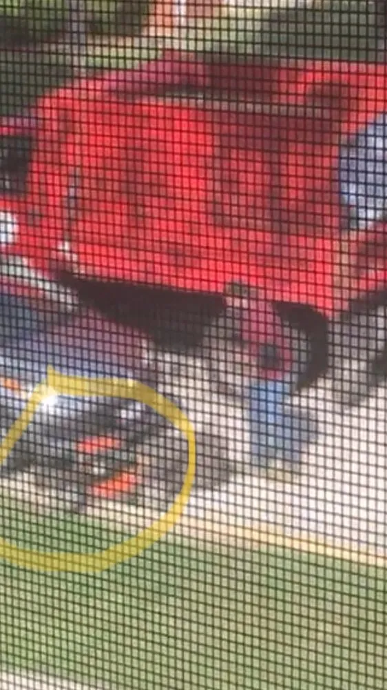 Reliable garden landscaping in Morton Grove, IL - Alex Magdaleno Landscaping