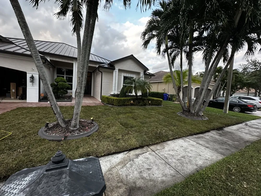 Top-rated yard maintenance in Hialeah, FL by Alex Molina Landscaping