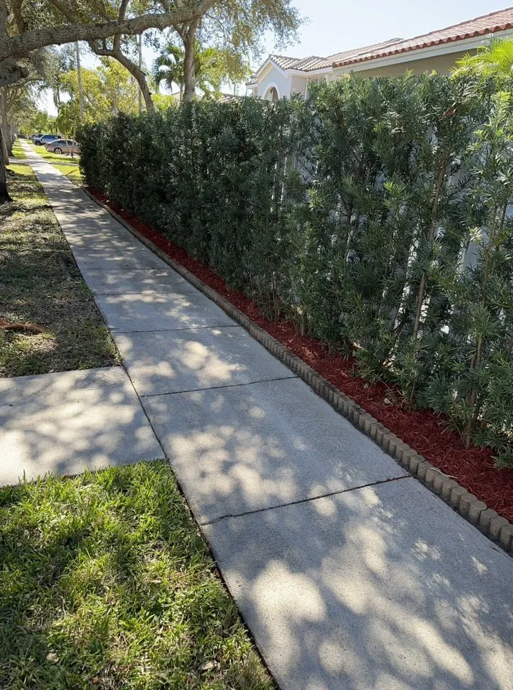 Local lawn mowing service for year-round maintenance in Hialeah, FL by Alex Molina Landscaping