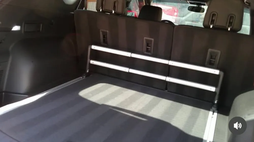 Professional lawn care service in Gainesville, GA by Alex Mulipotentialite