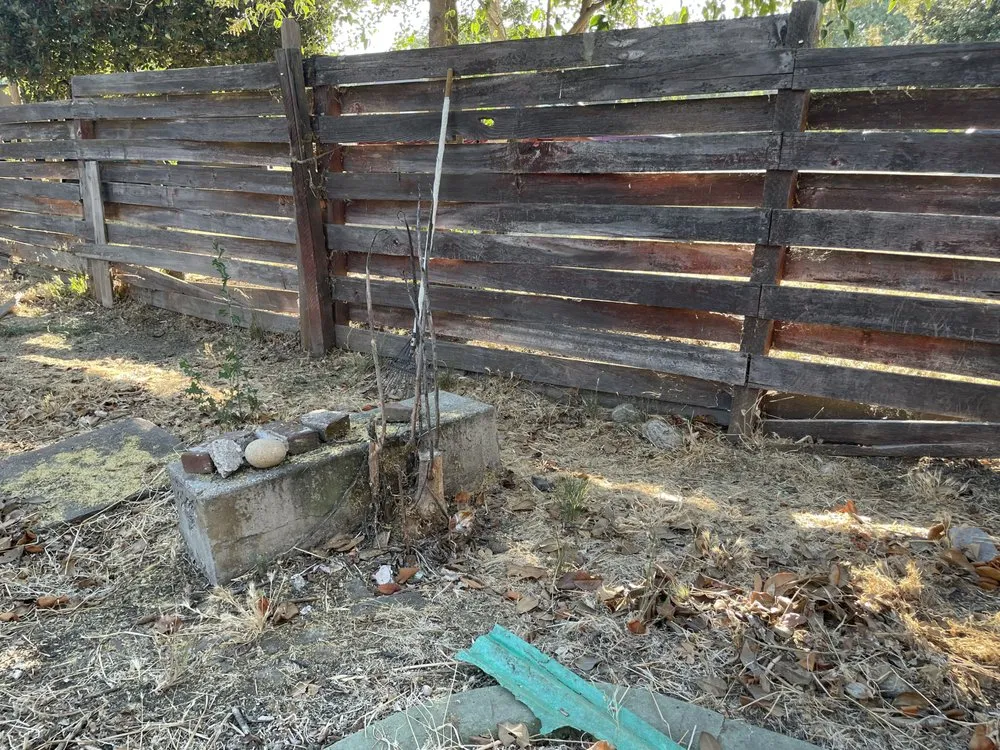 Professional yard maintenance in Stockton, CA by Alex N Lucia Lawn N Junk Removal Services