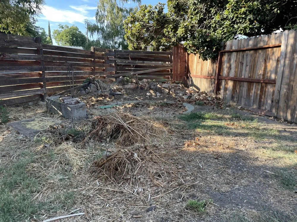 Professional residential landscaping in Stockton, CA - Alex N Lucia Lawn N Junk Removal Services