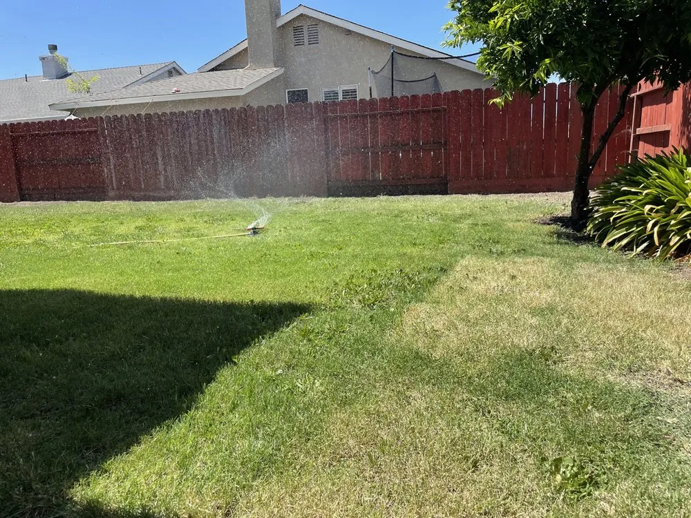 Affordable garden landscaping for year-round maintenance in Stockton, CA by Alex N Lucia Lawn N Junk Removal Services