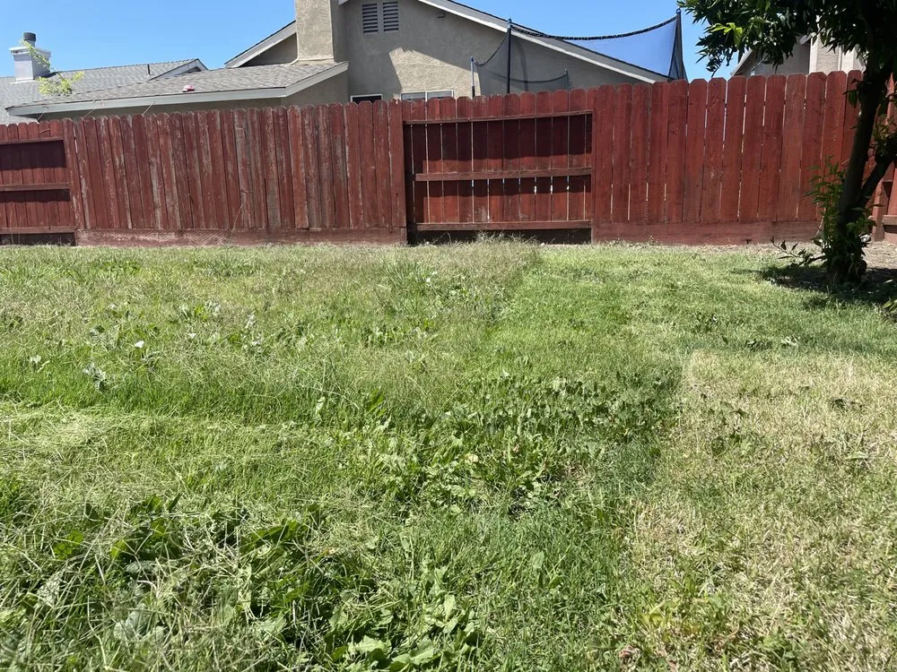 Expert yard cleanup service experts serving Stockton, CA - Alex N Lucia Lawn N Junk Removal Services