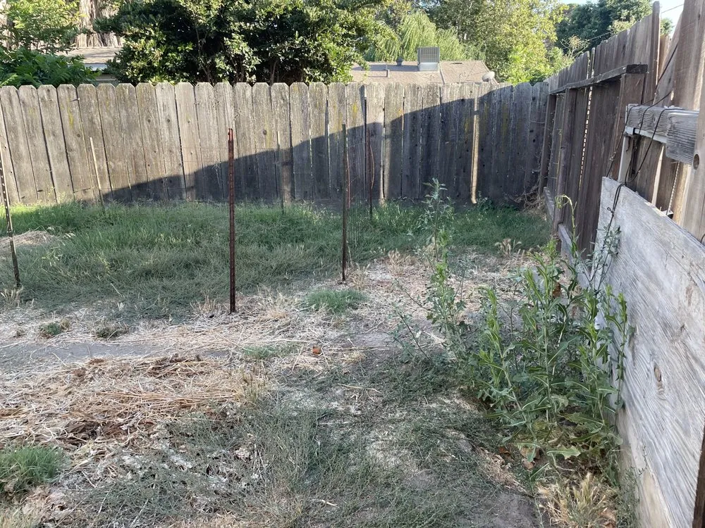 Professional residential landscaping in Stockton, CA - Alex N Lucia Lawn N Junk Removal Services