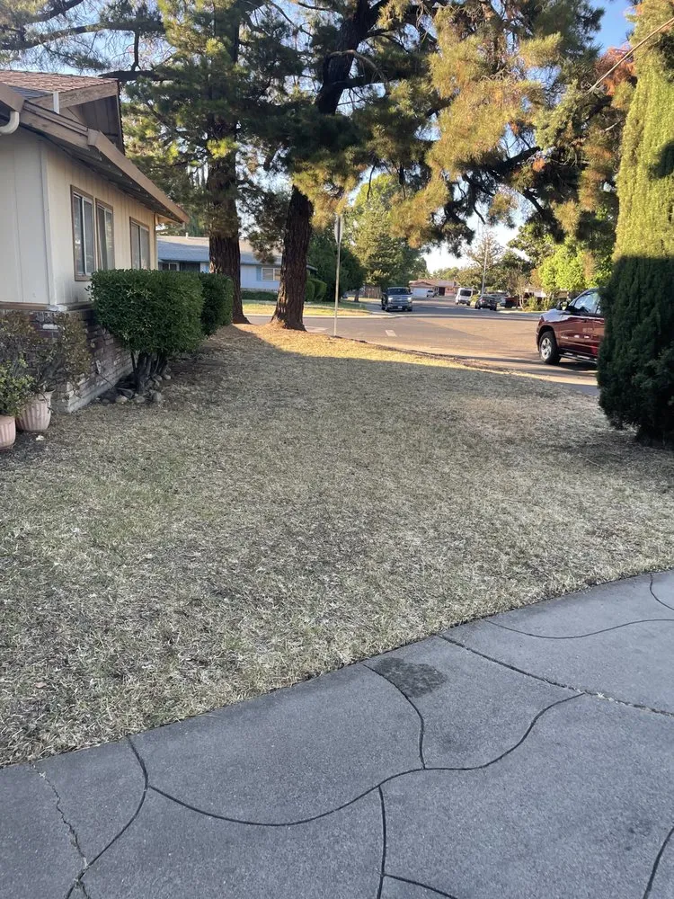 Top-rated residential landscaping in Stockton, CA - Alex N Lucia Lawn N Junk Removal Services