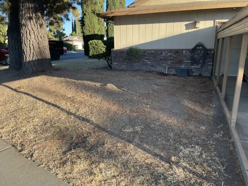 Affordable residential landscaping for beautiful yards across Stockton, CA - Alex N Lucia Lawn N Junk Removal Services