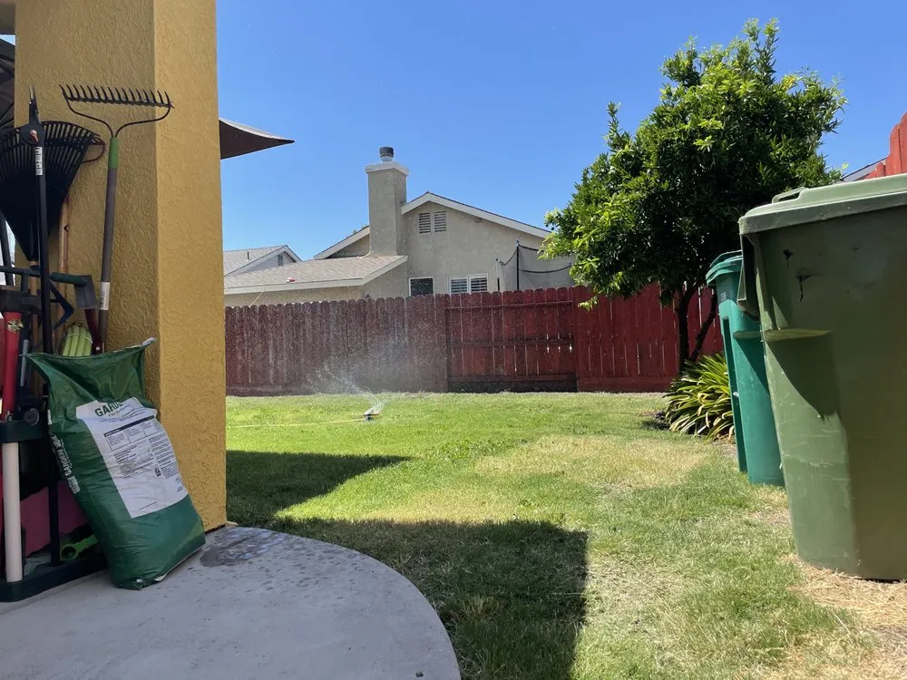 Trusted yard cleanup service in Stockton, CA - Alex N Lucia Lawn N Junk Removal Services