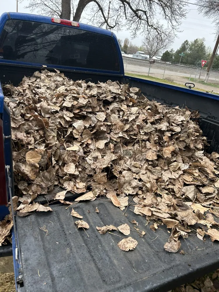 Reliable landscape installation in Payette, ID by Alex