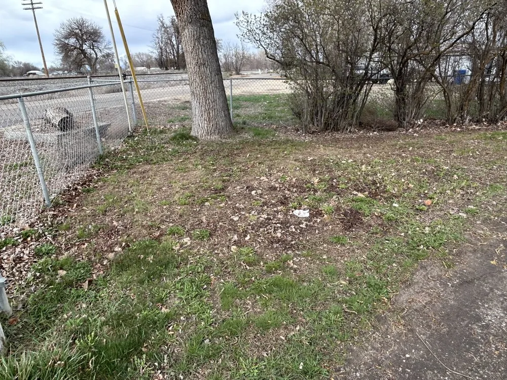 Custom landscaping services for outdoor upgrades across Payette, ID - Alex