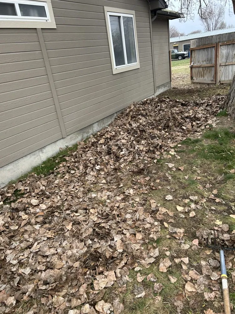 Top-rated yard cleanup service for homes in Payette, ID by Alex