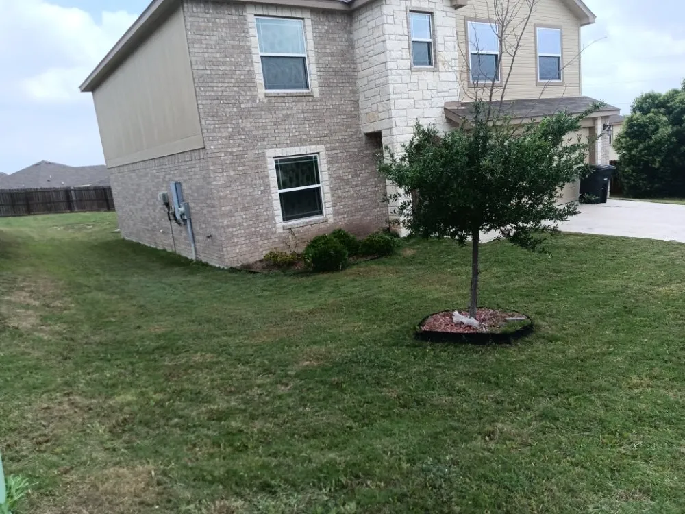 Trusted landscape design in Killeen, TX by Alex Perez