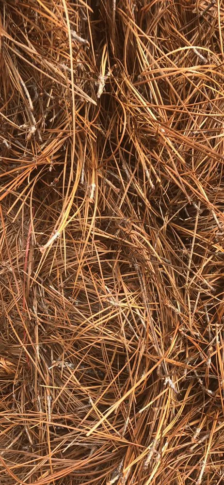 Expert residential landscaping experts serving Greenville, NC - Alex Pinestraw & Mulch