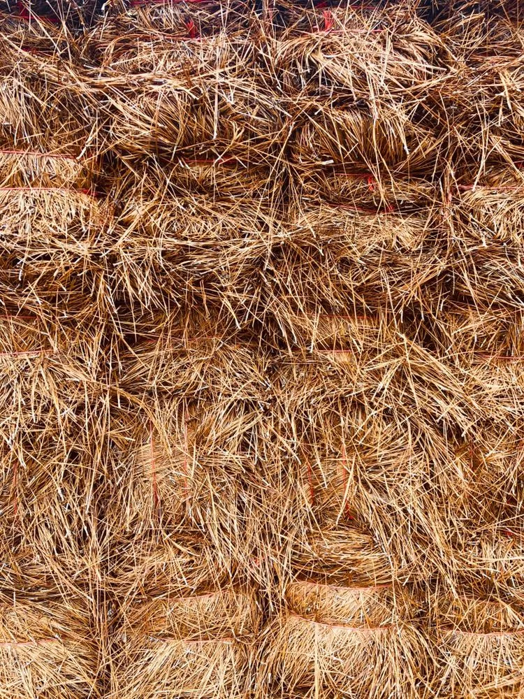 Top-rated lawn mowing service in Greenville, NC - Alex Pinestraw & Mulch