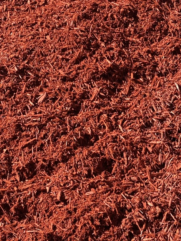 Affordable landscape design for residential properties in Greenville, NC by Alex Pinestraw & Mulch