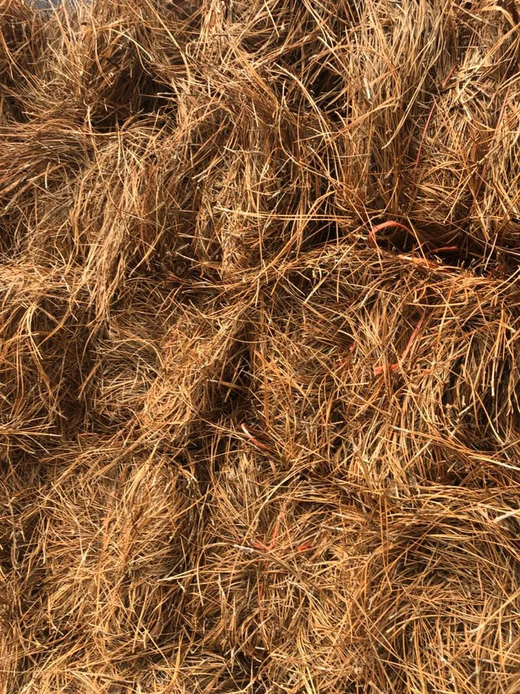 Local residential landscaping in Greenville, NC - Alex Pinestraw & Mulch