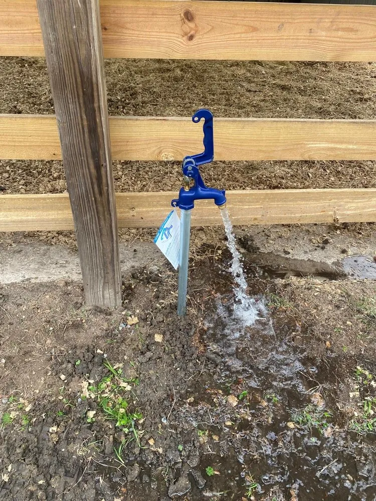 Trusted landscaping services for year-round maintenance in Bellville, TX by Alex Services