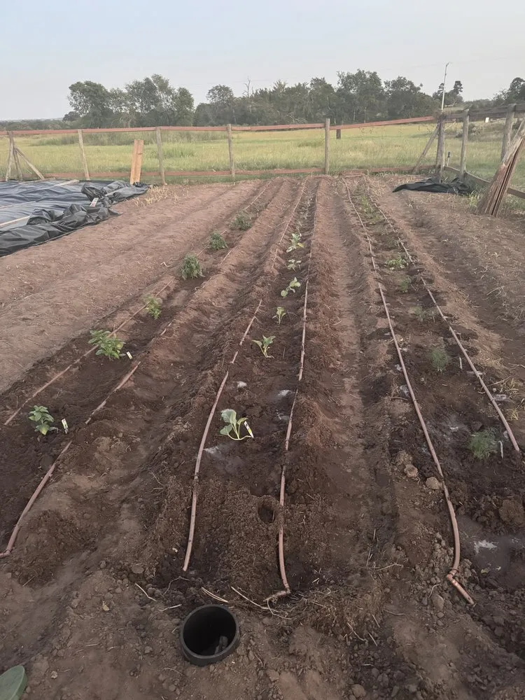 Custom outdoor landscaping in Bellville, TX - Alex Services