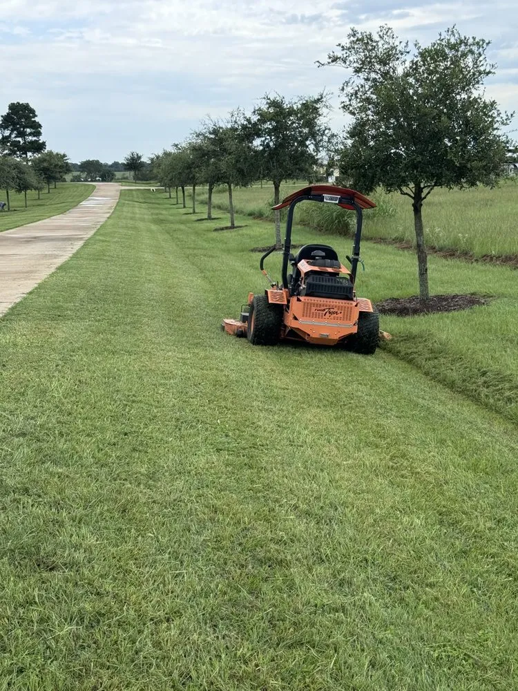 Expert yard cleanup service in Bellville, TX - Alex Services