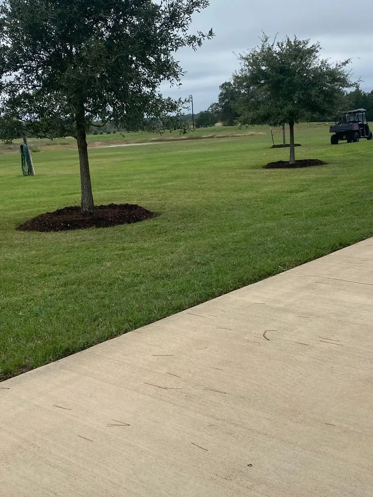 Expert landscaping services for year-round maintenance across Bellville, TX - Alex Services