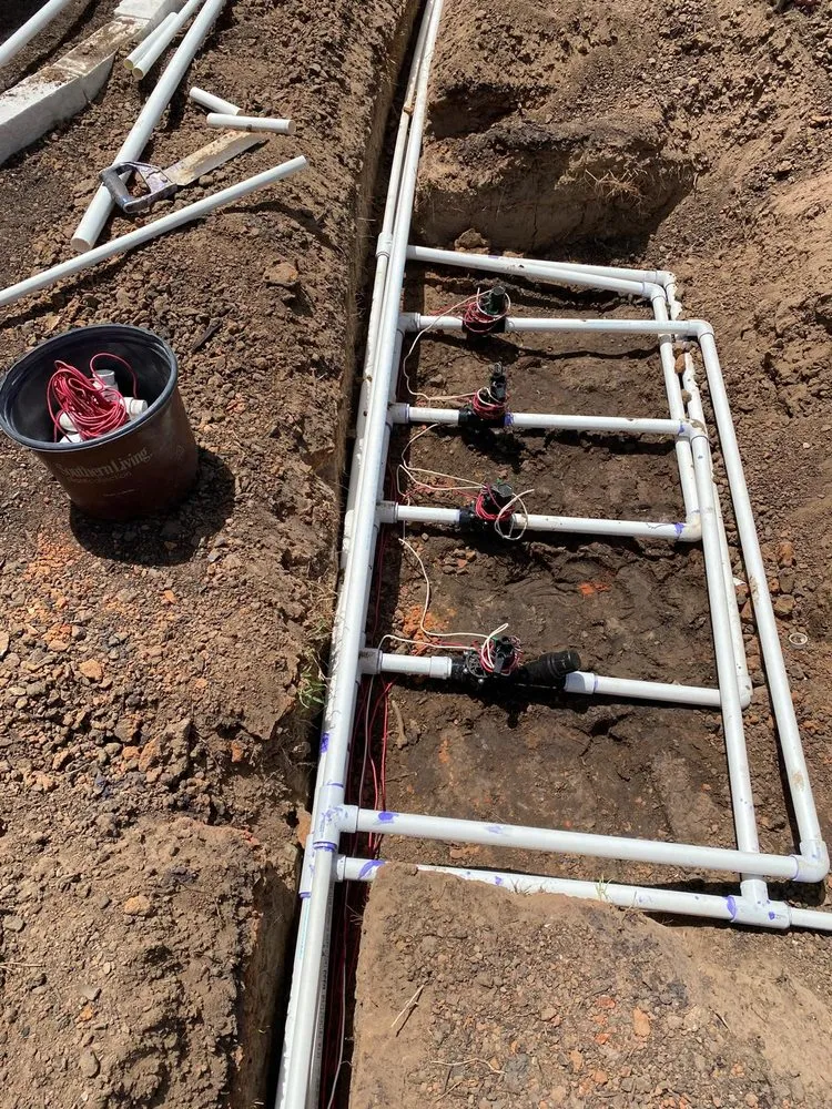 Professional yard maintenance in Bellville, TX by Alex Services