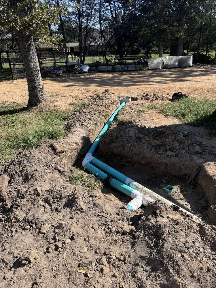 Top-rated lawn care service experts serving Bellville, TX - Alex Services