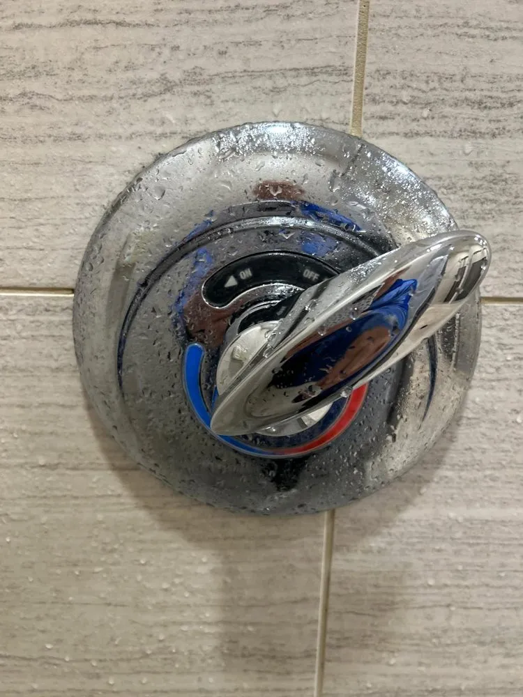 Local residential landscaping in Neptune City, NJ - Alex services