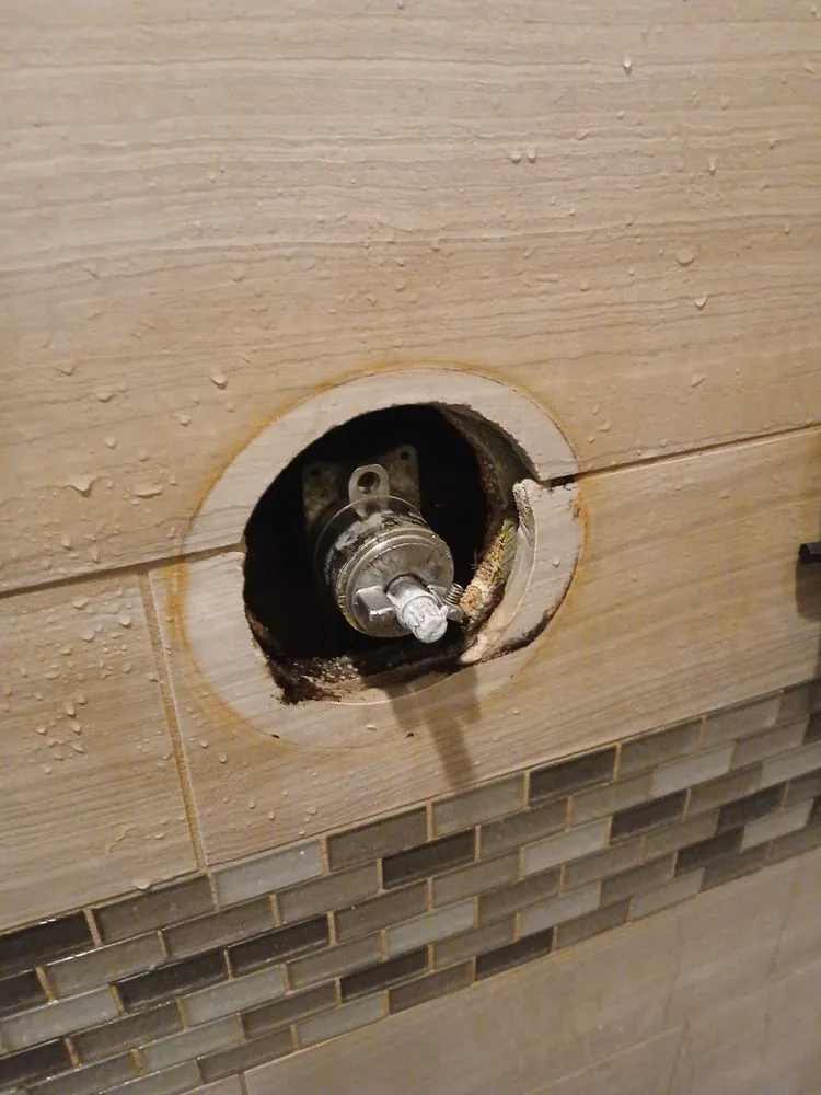 Local landscape installation experts serving Neptune City, NJ - Alex services