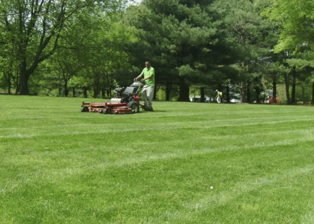 Reliable yard maintenance for residential properties in Hudson, NY by Alex The Land Guy
