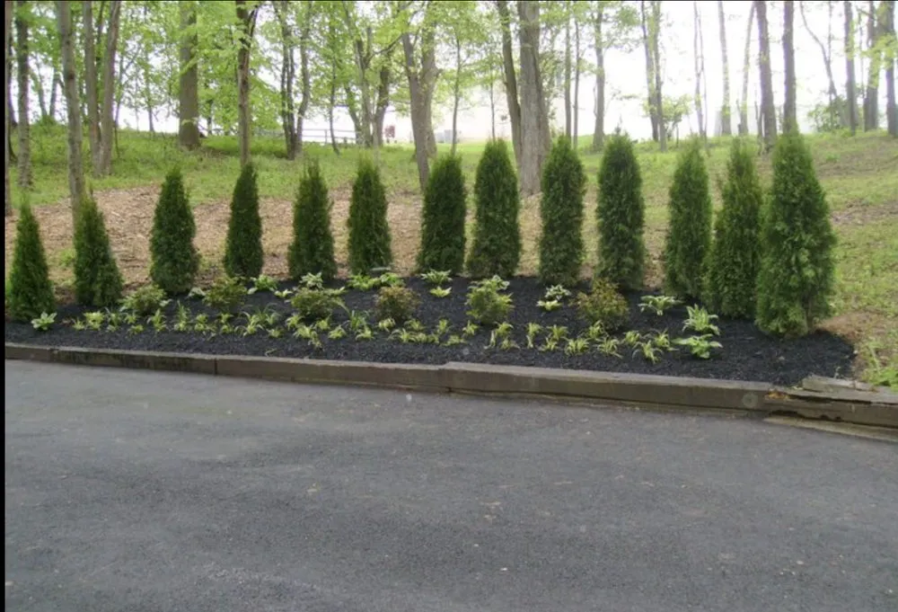 Affordable residential landscaping in Hudson, NY - Alex The Land Guy