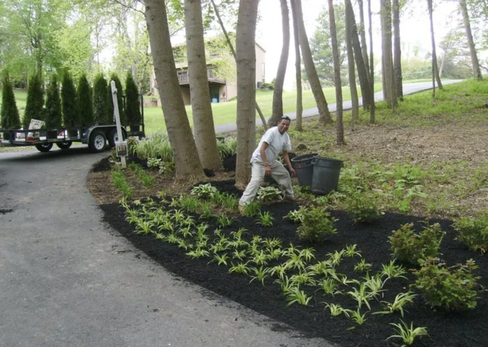 Professional landscape design in Hudson, NY - Alex The Land Guy