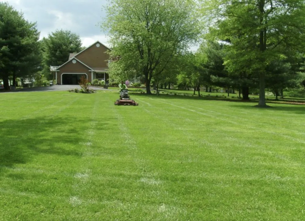 Professional yard cleanup service experts serving Hudson, NY - Alex The Land Guy