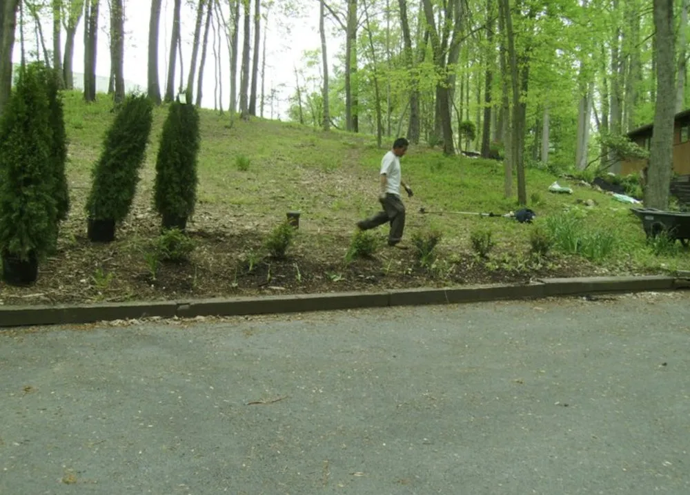 Expert yard cleanup service in Hudson, NY by Alex The Land Guy