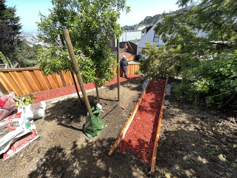 Expert outdoor landscaping in Fairfield, CA by Alex Tree & Landscape Service