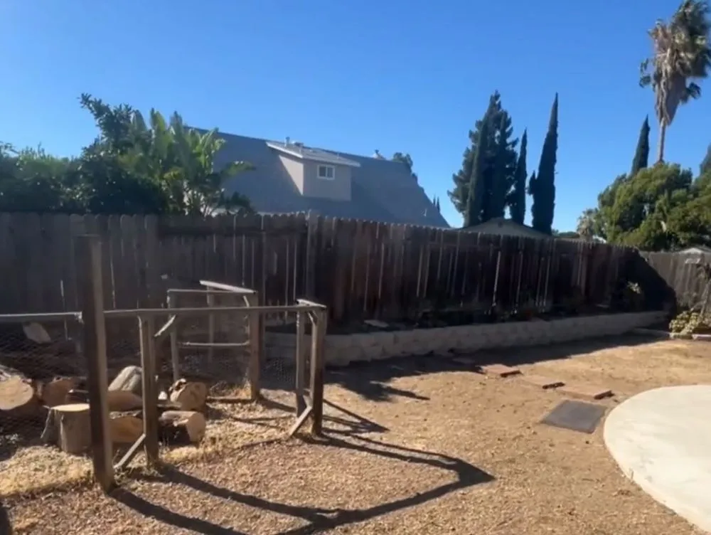 Expert landscaping services for beautiful yards in Fairfield, CA by Alex Tree & Landscape Service