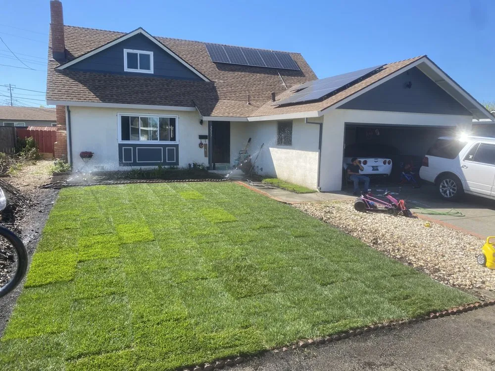 Trusted outdoor landscaping for outdoor upgrades across Fairfield, CA - Alex Tree & Landscape Service