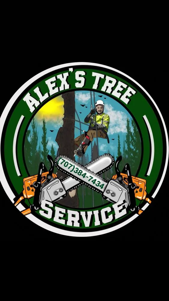 Reliable yard cleanup service in Fairfield, CA - Alex Tree & Landscape Service