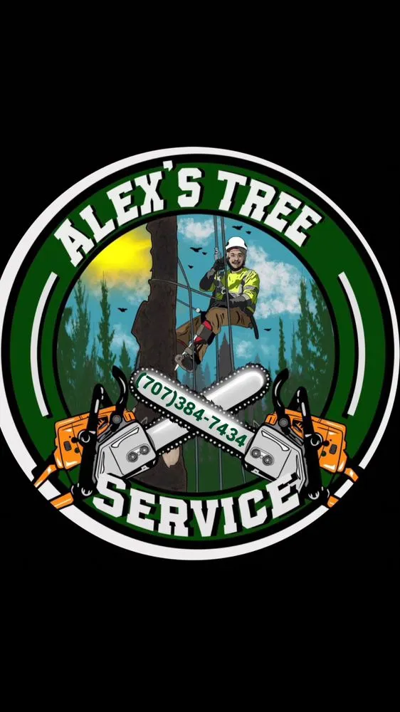Trusted landscaping services in Fairfield, CA - Alex Tree & Landscape Service