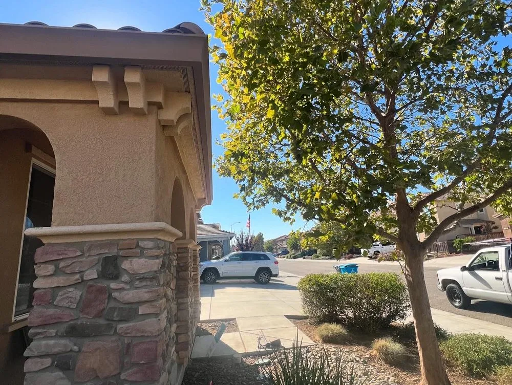 Reliable yard maintenance for beautiful yards in Fairfield, CA by Alex Tree & Landscape Service