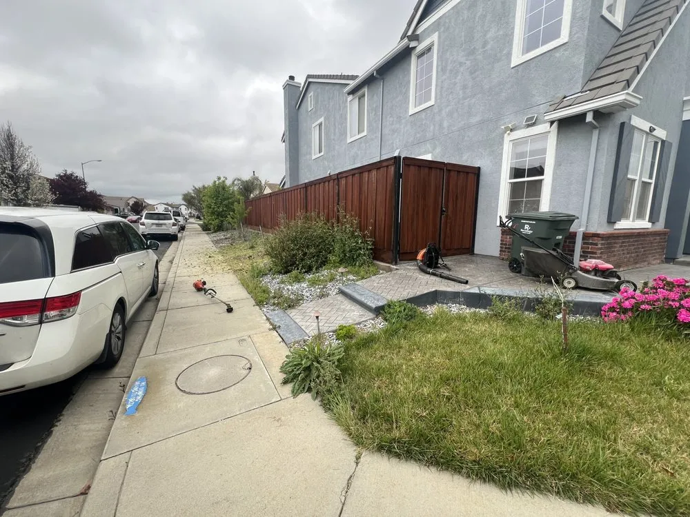 Affordable lawn care service for year-round maintenance across Fairfield, CA - Alex Tree & Landscape Service