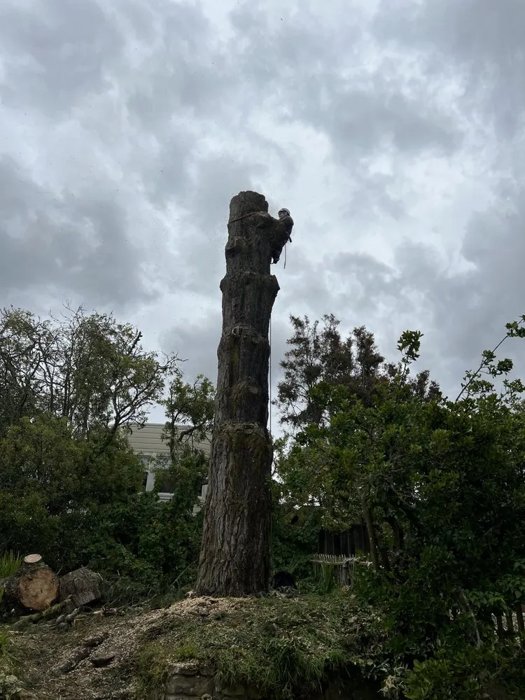 Custom garden landscaping in Fairfield, CA - Alex Tree & Landscape Service