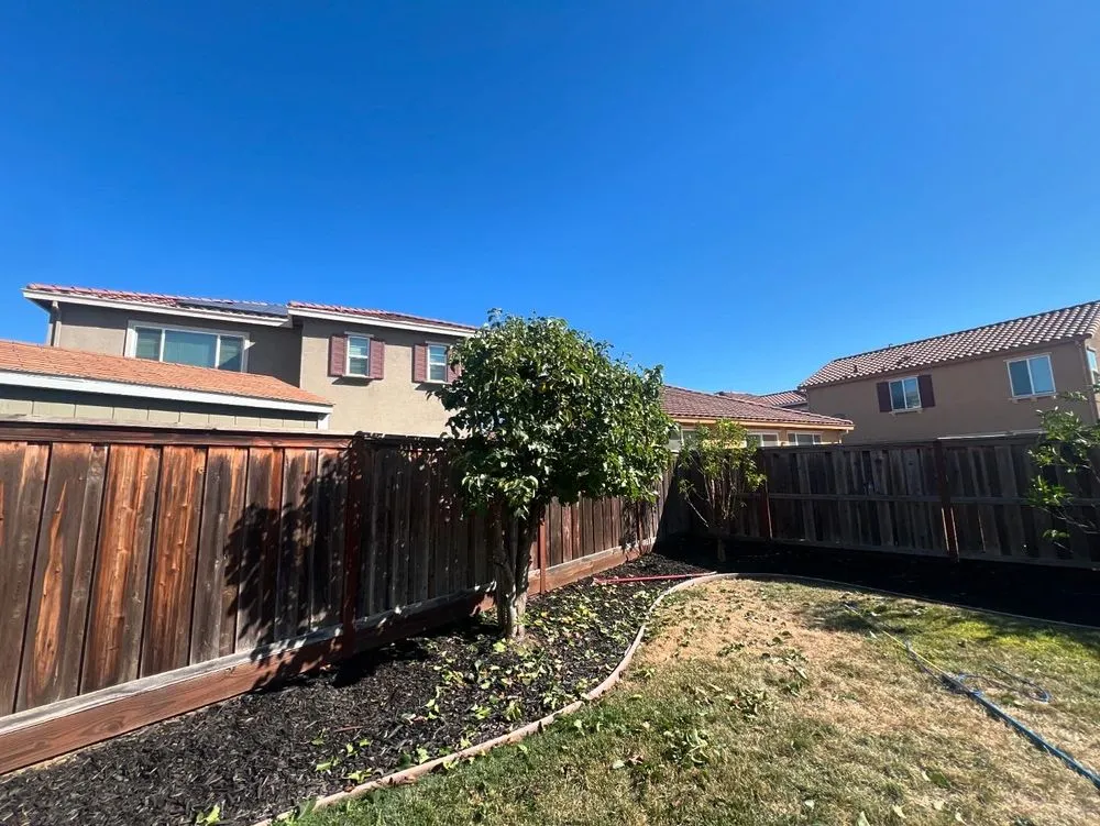 Affordable garden landscaping in Fairfield, CA - Alex Tree & Landscape Service