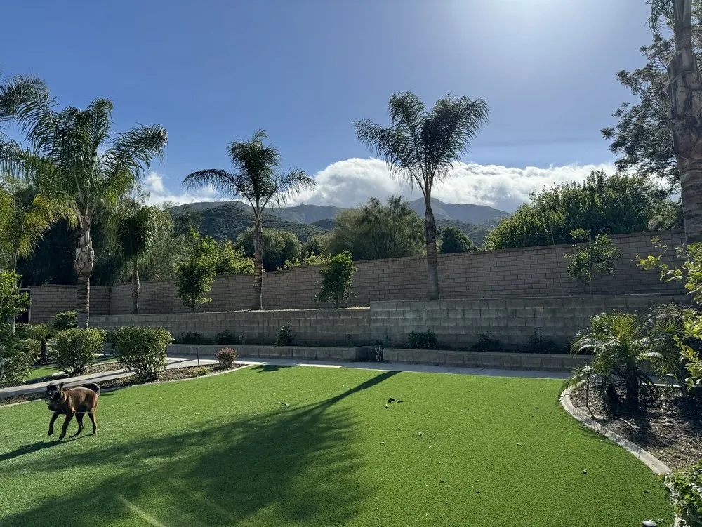 Professional lawn care service in Lake Elsinore, CA - Alex Tree Service