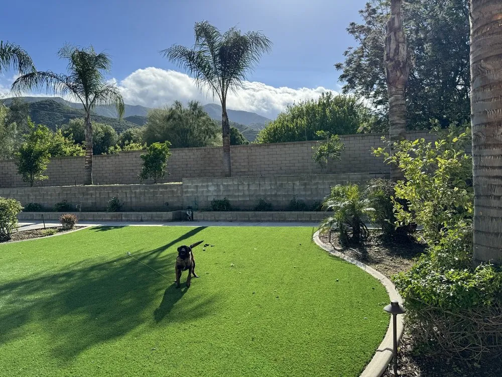 Trusted yard maintenance in Lake Elsinore, CA by Alex Tree Service
