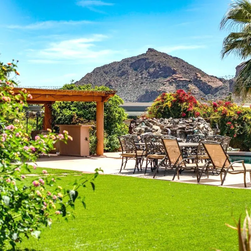 Custom outdoor landscaping for beautiful yards across Lake Elsinore, CA - Alex Tree Service