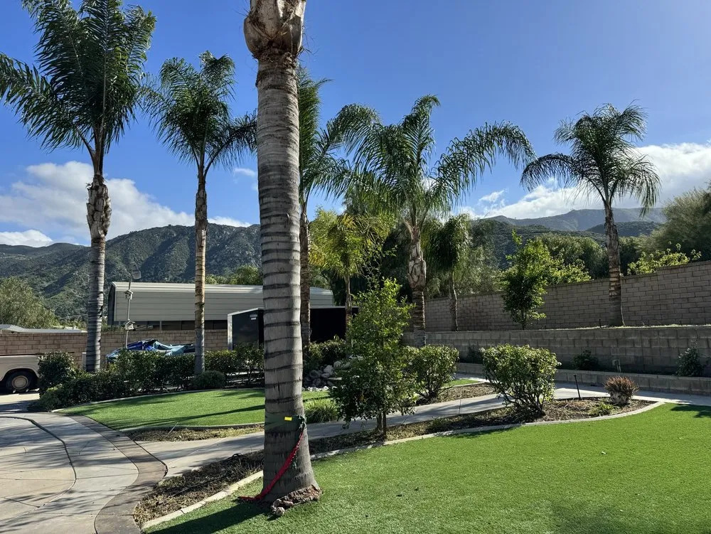 Affordable landscaping services experts serving Lake Elsinore, CA - Alex Tree Service